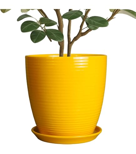 Amazon.com : Decbde Simple Flower Pot Chinese Style Yellow Flower